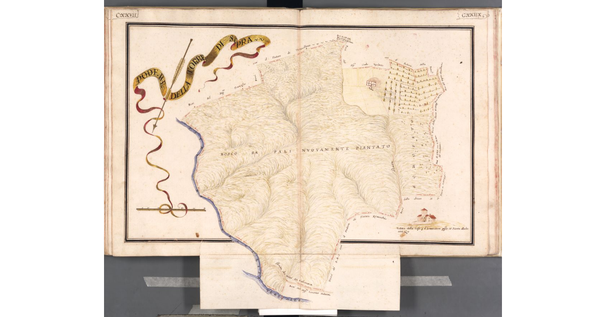 Podere della Torre di Sopra