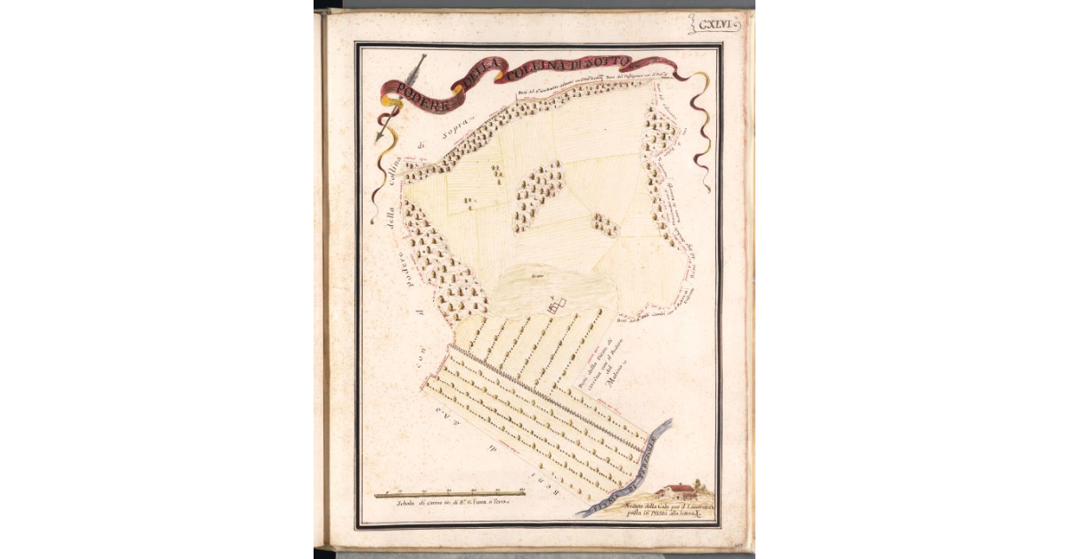 Podere della Collina di sotto