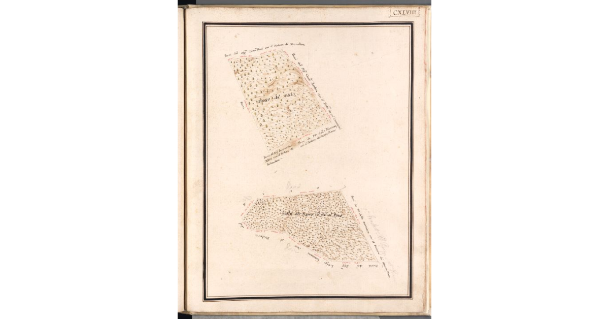 [Terreni di pertinenza del podere della Collina di sotto]