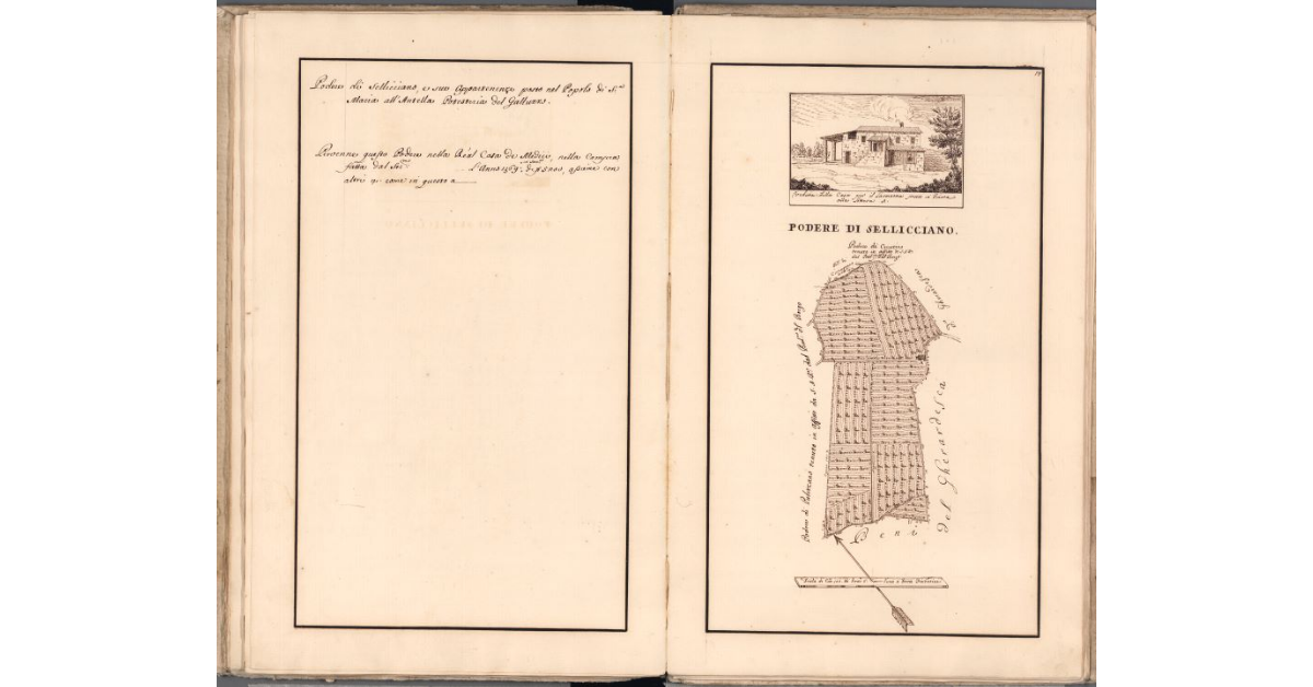 Podere di Sellicciano