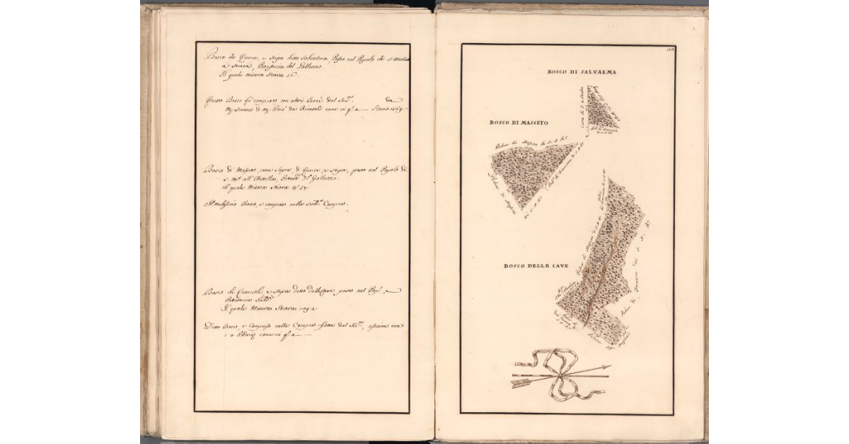 [Boschi di Salvaema, Cerreto e delle Cave]