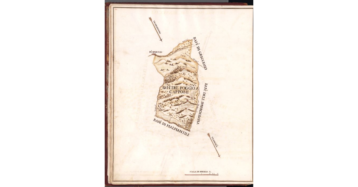 Bandita del Poggio a Capponi