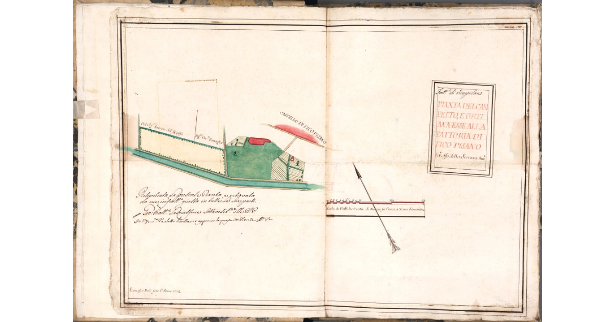 Pianta del campetto, e orti annesse alla fattoria di Vico Pisano