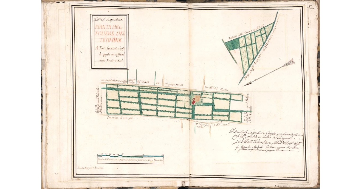 Pianta del podere del Termine