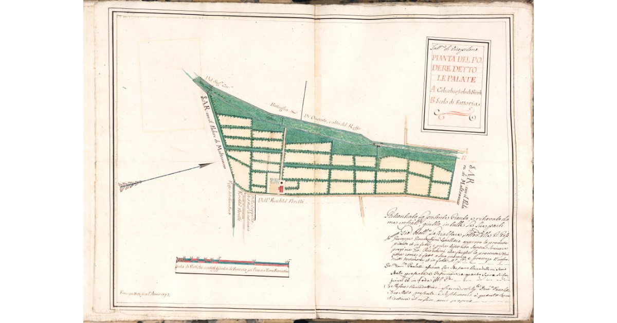 Pianta del podere detto le Palate