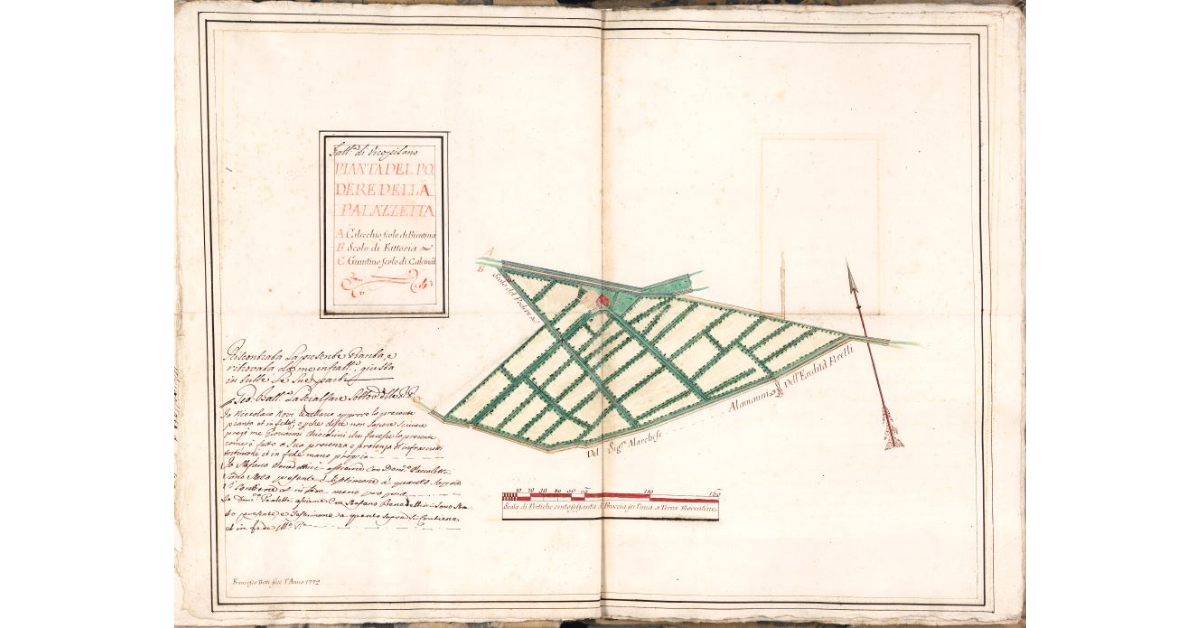 Pianta del podere della Palazzetta