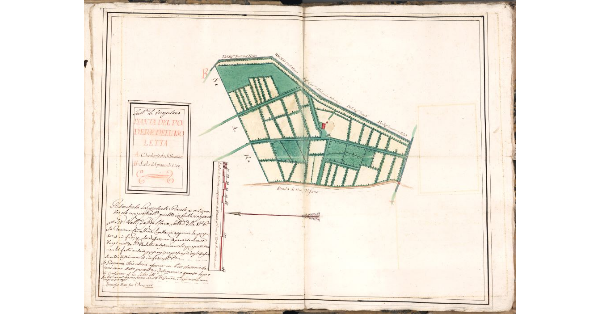 Pianta del podere dell'Isoletta