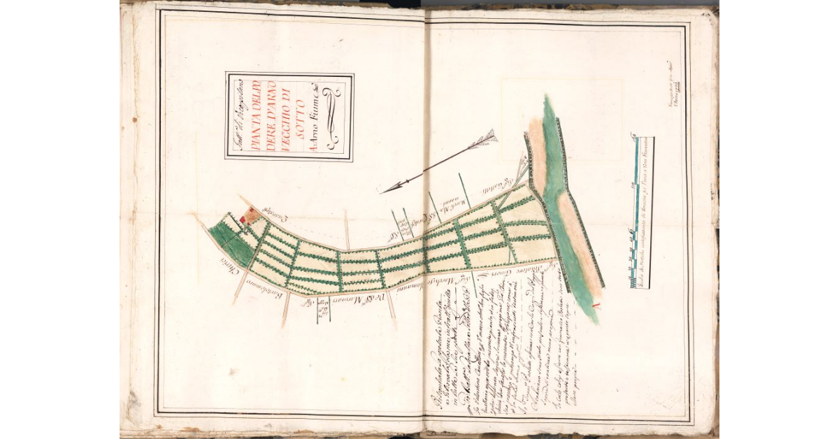 Pianta del podere d'Arno Vecchio di sotto