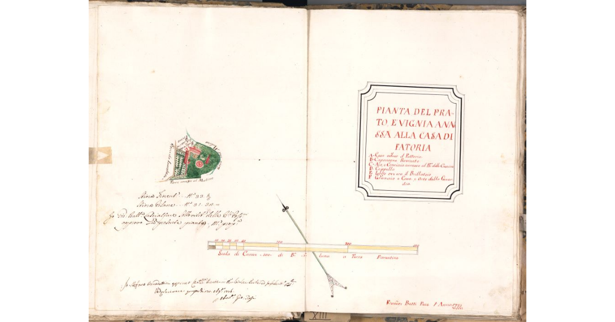 Pianta del prato, e vignia annessa alla casa di fatoria