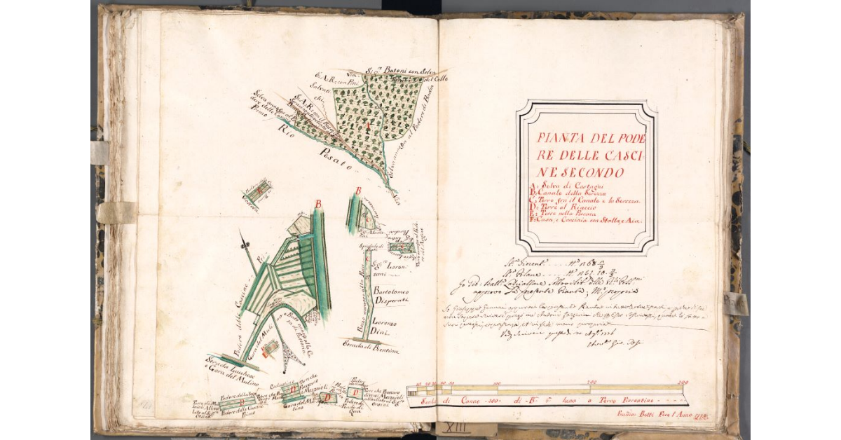 Pianta del podere delle Cascine secondo