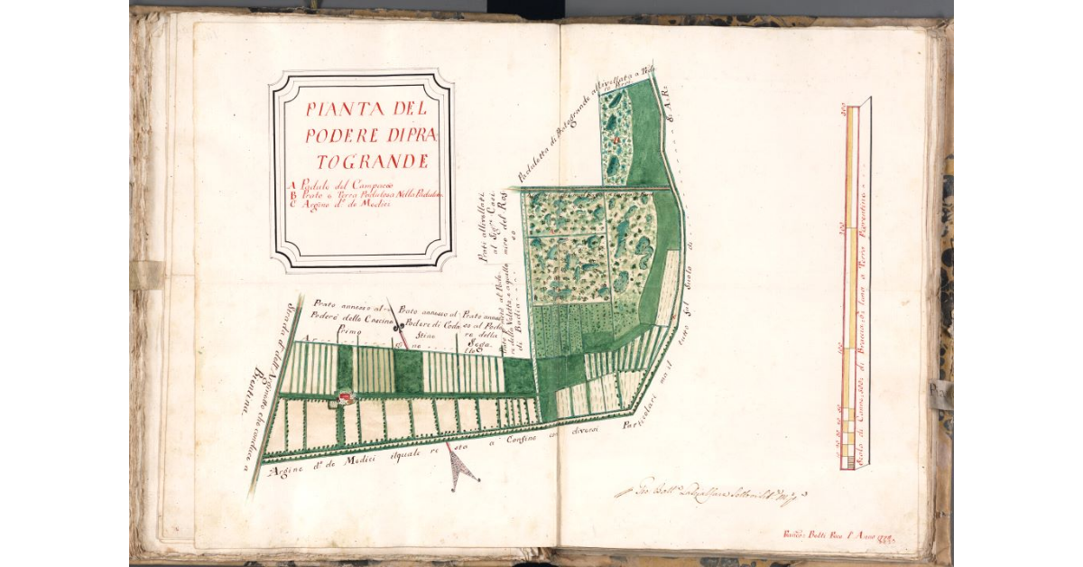Pianta del podere di Prato Grande