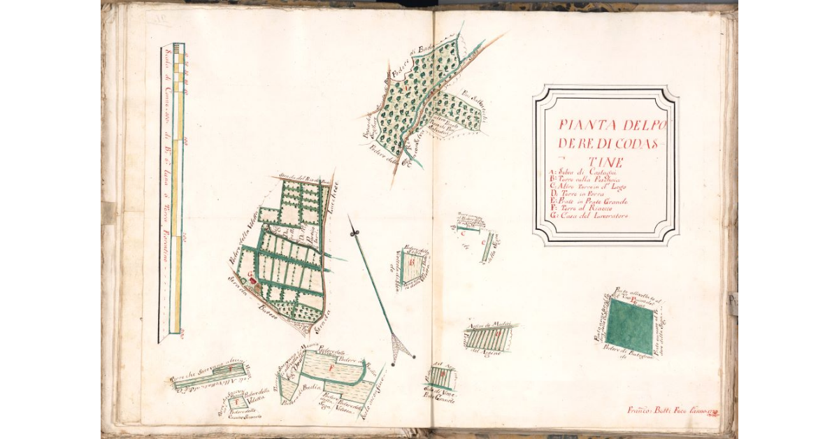 Pianta del podere di Codastine