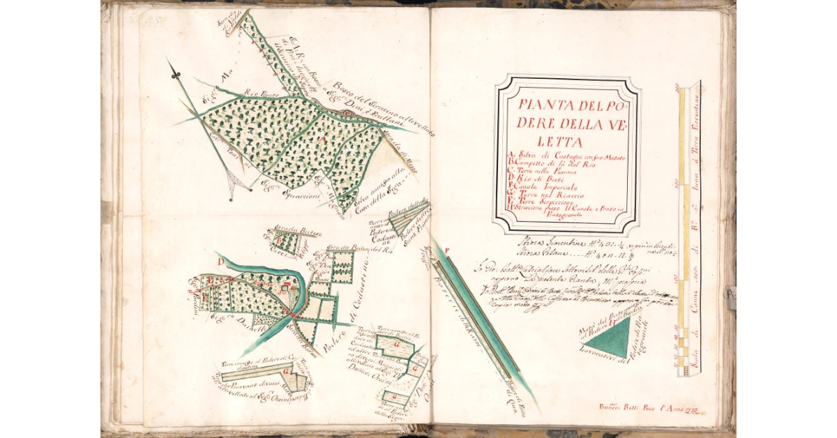 Pianta del podere della Veletta