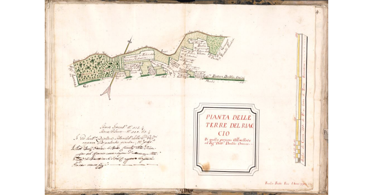 Pianta delle terre del Riaccio