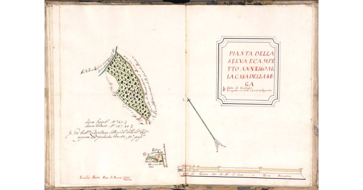 Pianta della selva e campetto annesso alla casa della Sega