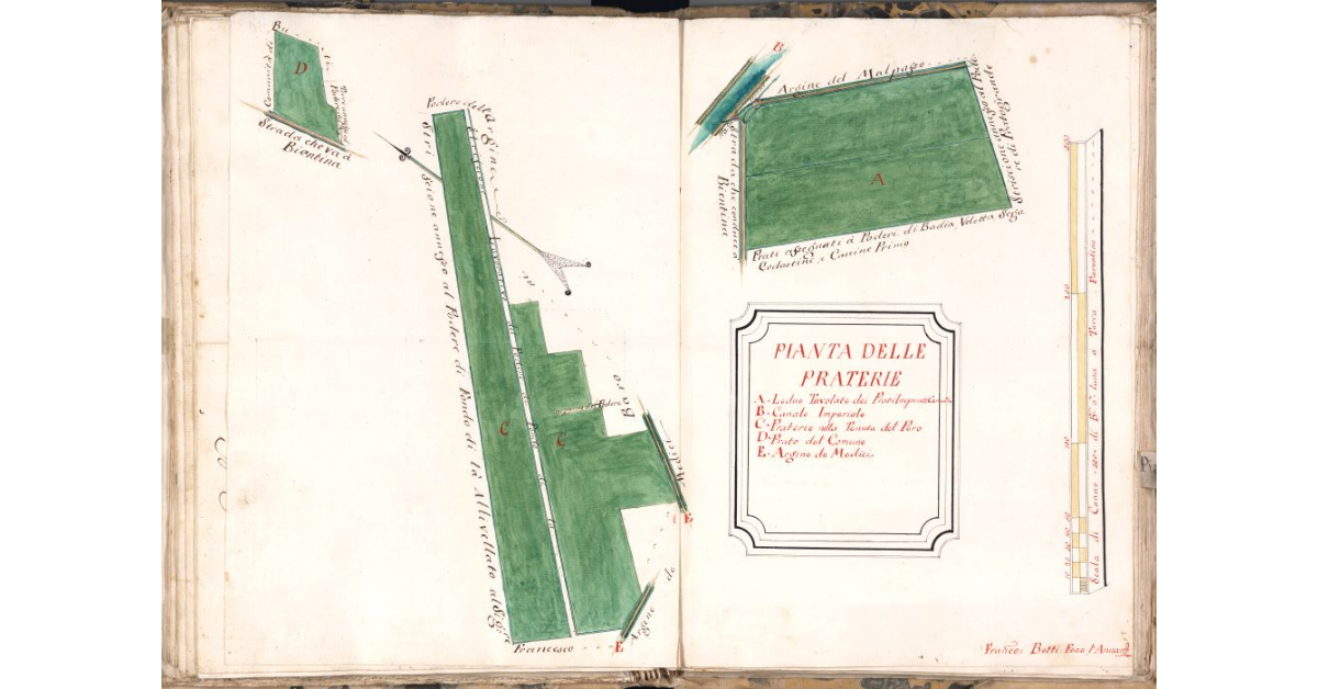 Pianta delle praterie