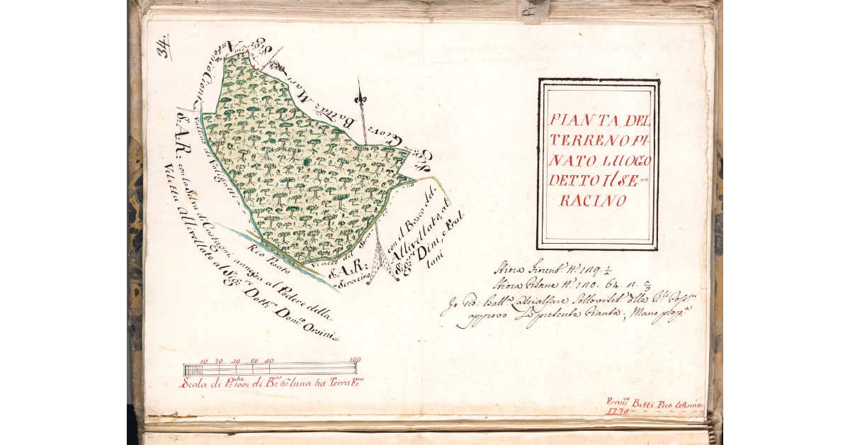 Pianta del terreno pinato, luogo detto il Seracino