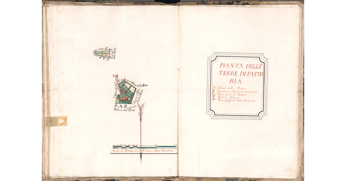 Pianta delle terre di Fattoria