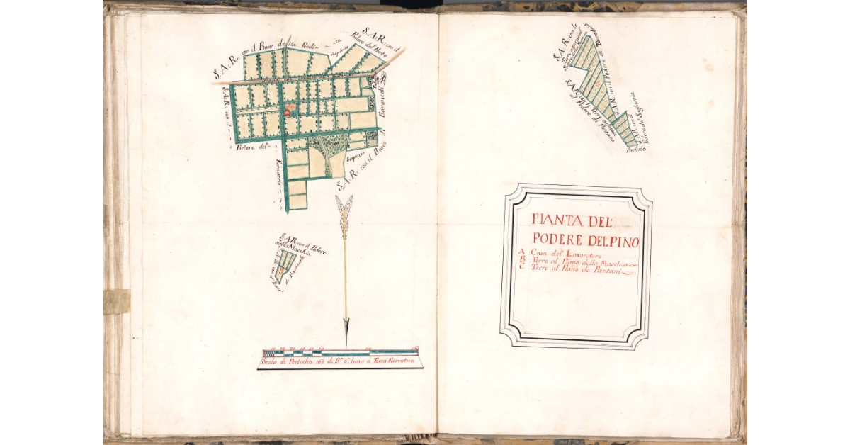 Pianta del podere del Pino