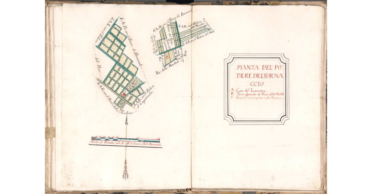 Pianta del podere del Fornaccio