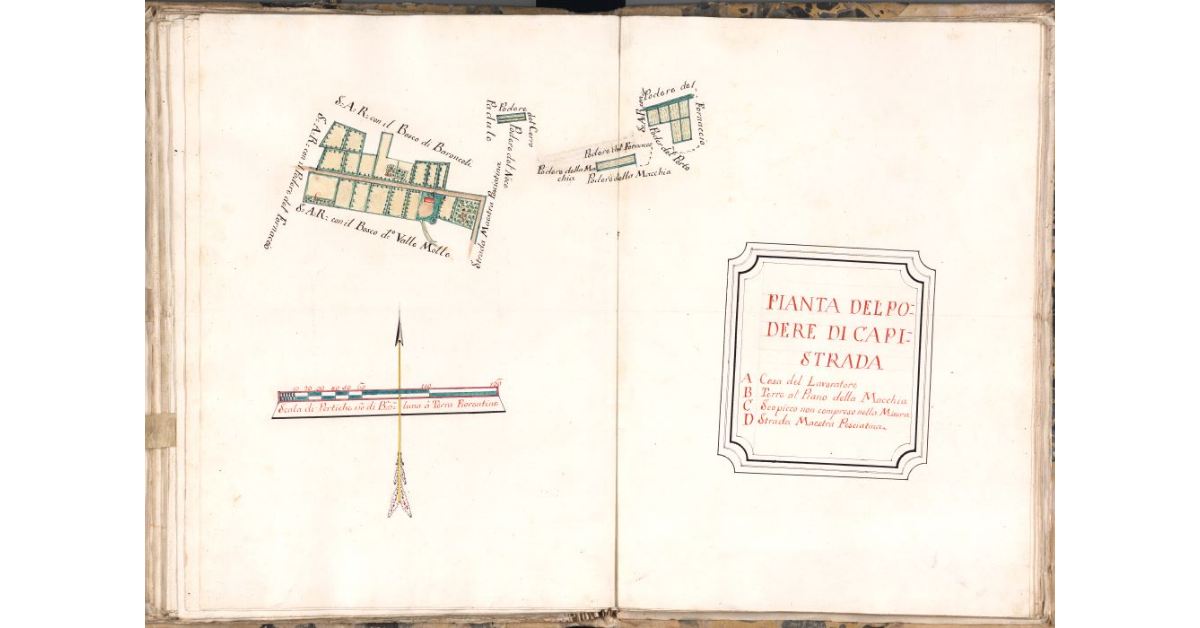 Pianta del podere di Capistrada