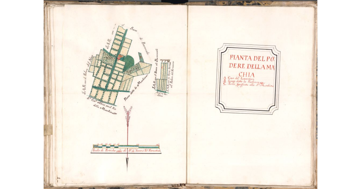 Pianta del podere della Machia