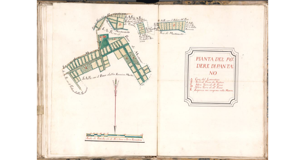 Pianta del podere di Pantano