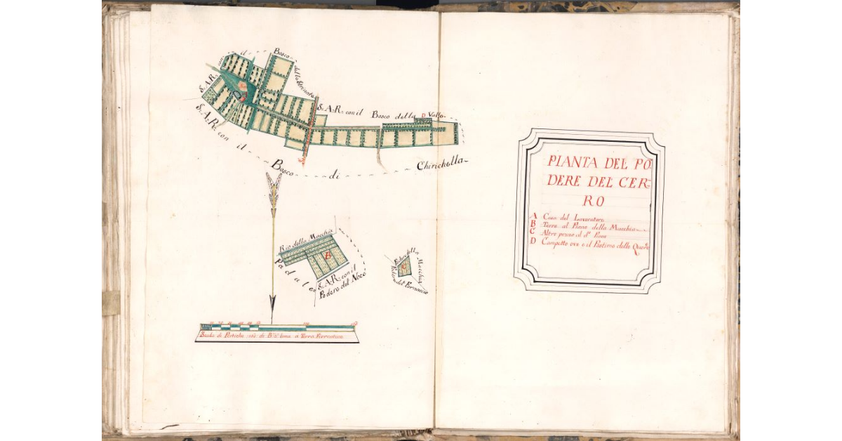 Pianta del podere del Cerro