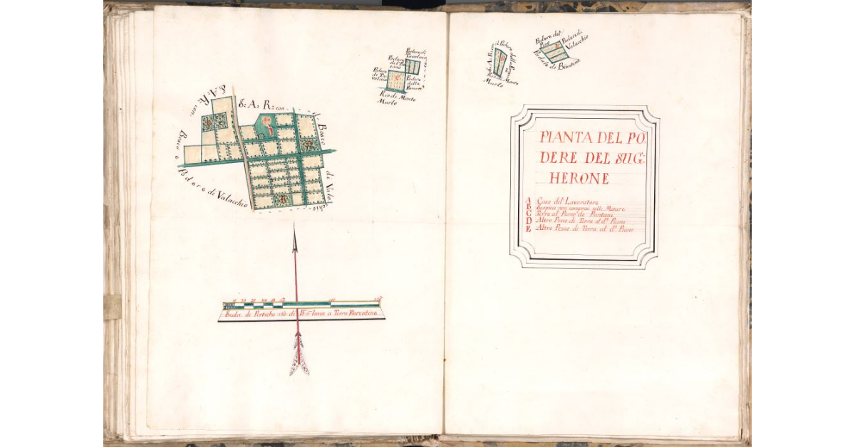 Pianta del podere del Sugherone