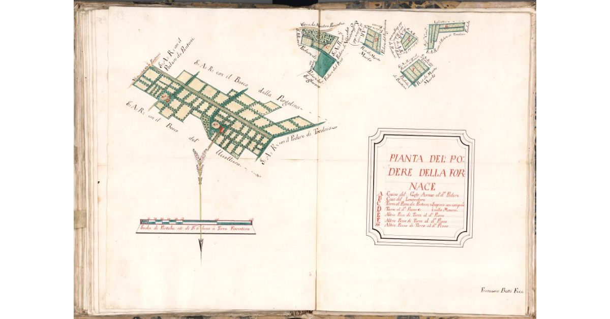 Pianta del podere della Fornace