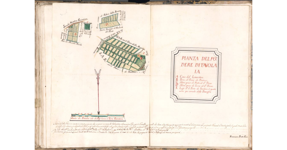 Pianta del podere di Tavolaia