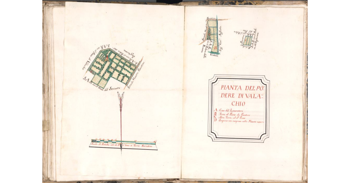 Pianta del podere di Valachio