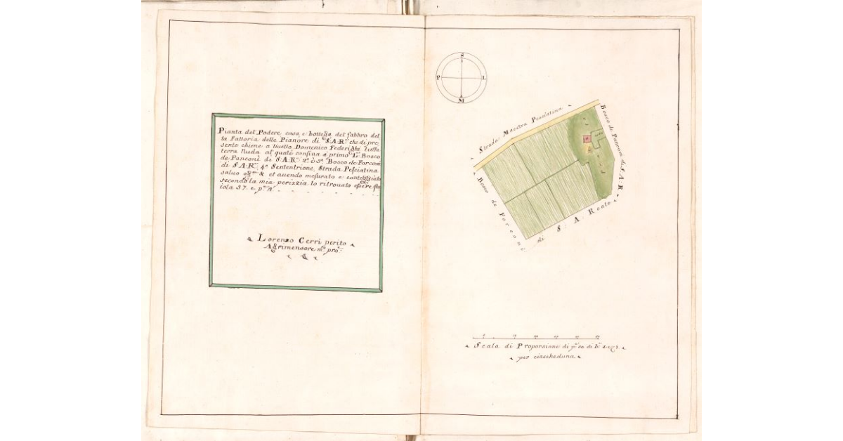 [Pianta del podere, casa e bottega del fabbro della fattoria delle Pianore di S.A.R.]
