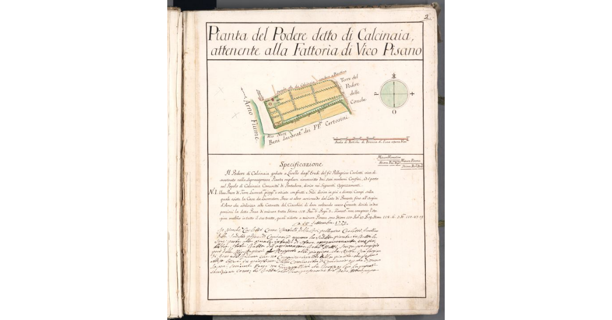 Pianta del Podere detto di Calcinaia, attenente alla Fattoria di Vico Pisano