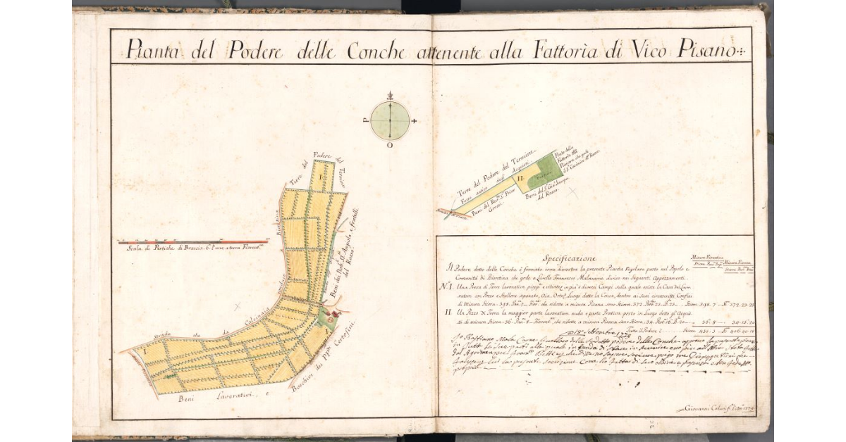 Pianta del Podere delle Conche attenente alla Fattoria di Vico Pisano