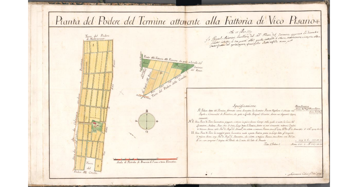 Pianta del Podere del Termine attenente alla Fattoria di Vico Pisano