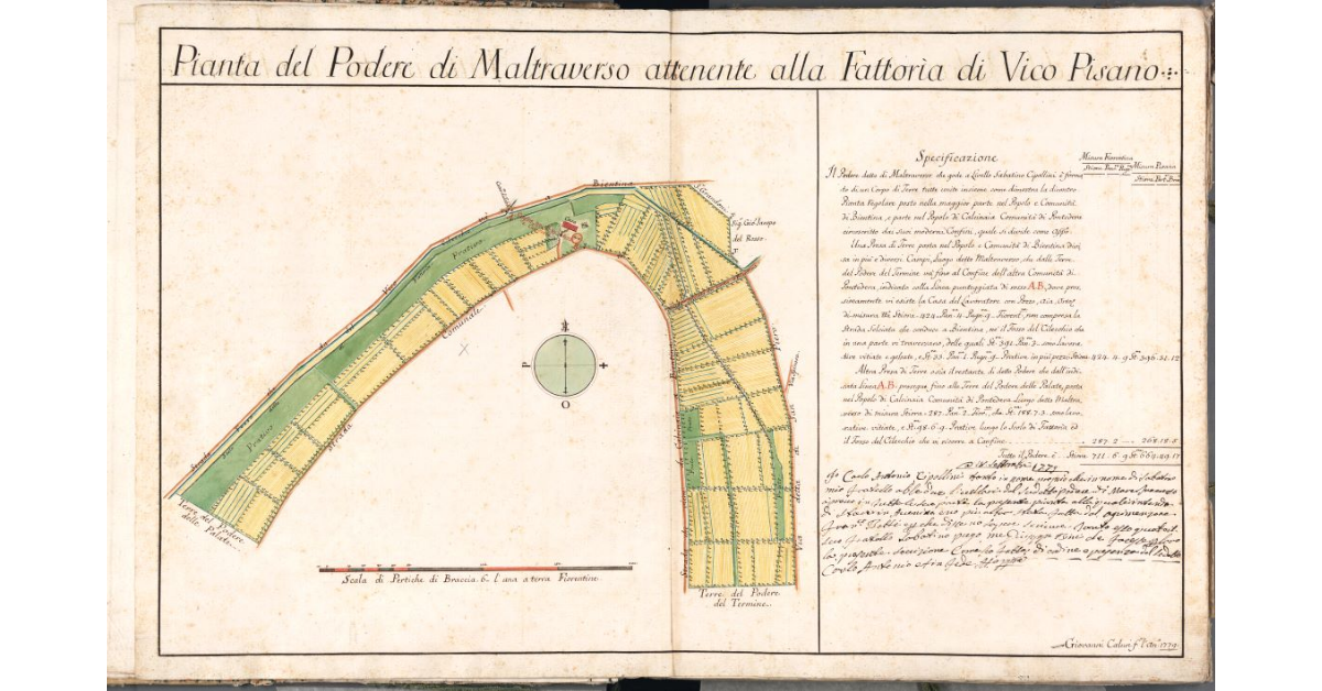 Pianta del Podere di Maltraverso attenente alla Fattoria di Vico Pisano