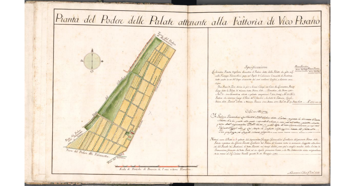 Pianta del Podere delle Palate attenente alla Fattoria di Vico Pisano