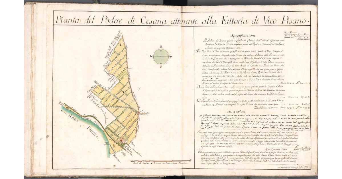 Pianta del Podere di Cesana attenente alla Fattoria di Vico Pisano