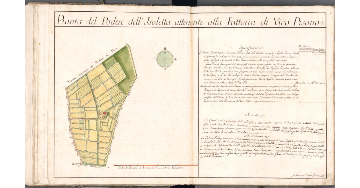 Pianta del Podere dell'Isoletta attenente alla Fattoria di Vico Pisano