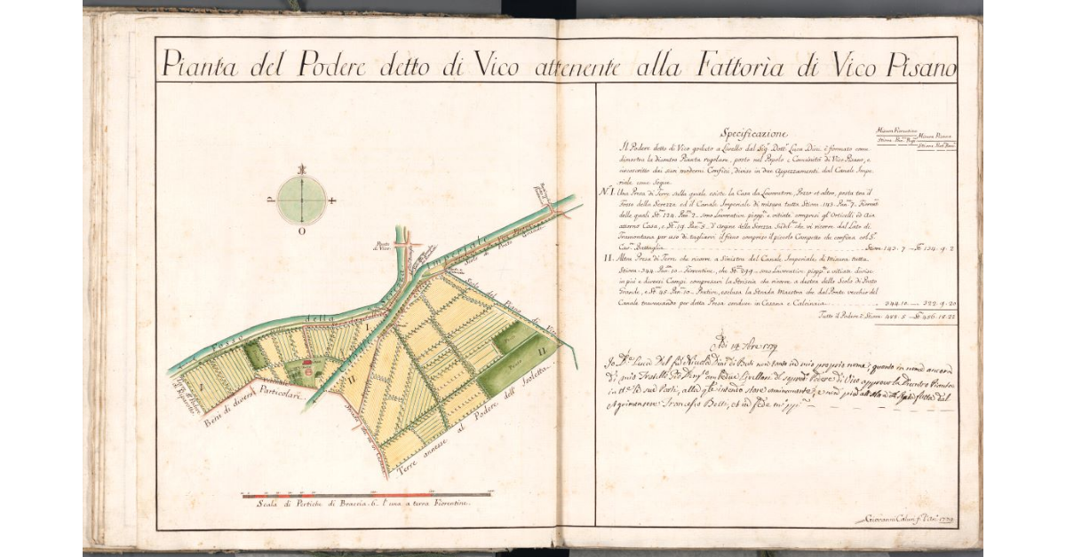 Pianta del Podere detto di Vico attenente alla Fattoria di Vico Pisano