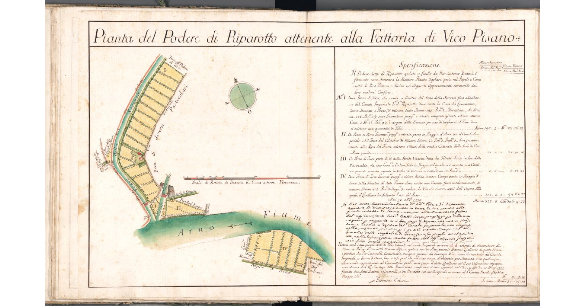 Pianta del Podere di Riparotto attenente alla Fattoria di Vico Pisano