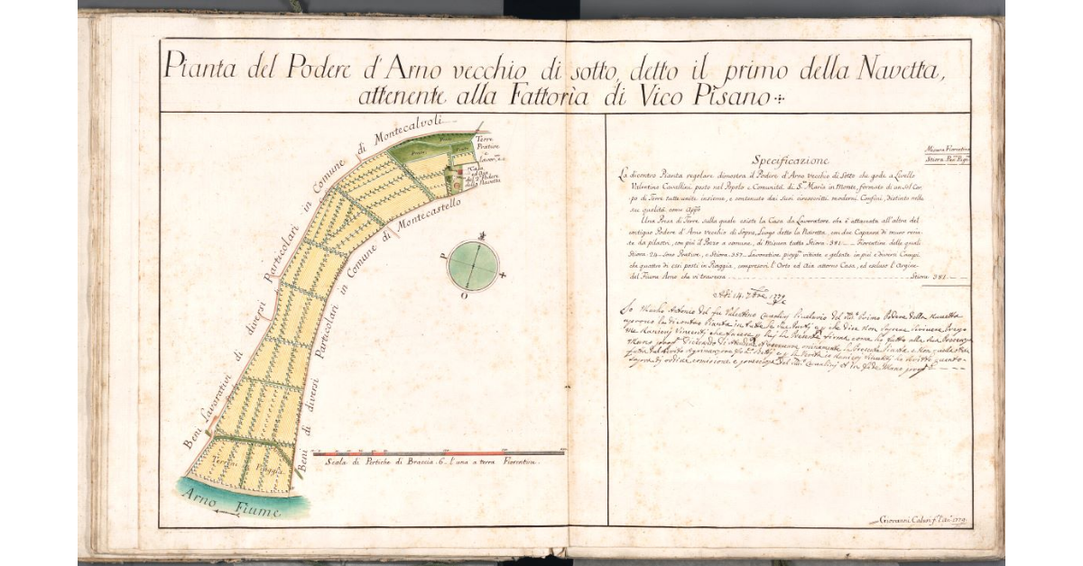 Pianta del Podere d'Arno vecchio di sotto, detto il primo della Navetta, attenente alla Fattoria di Vico Pisano