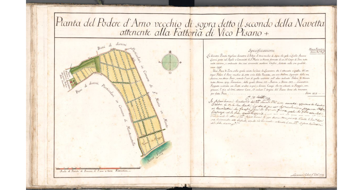 Pianta del Podere d'Arno vecchio di sopra detto il secondo della Navetta attenente alla Fattoria di Vico Pisano