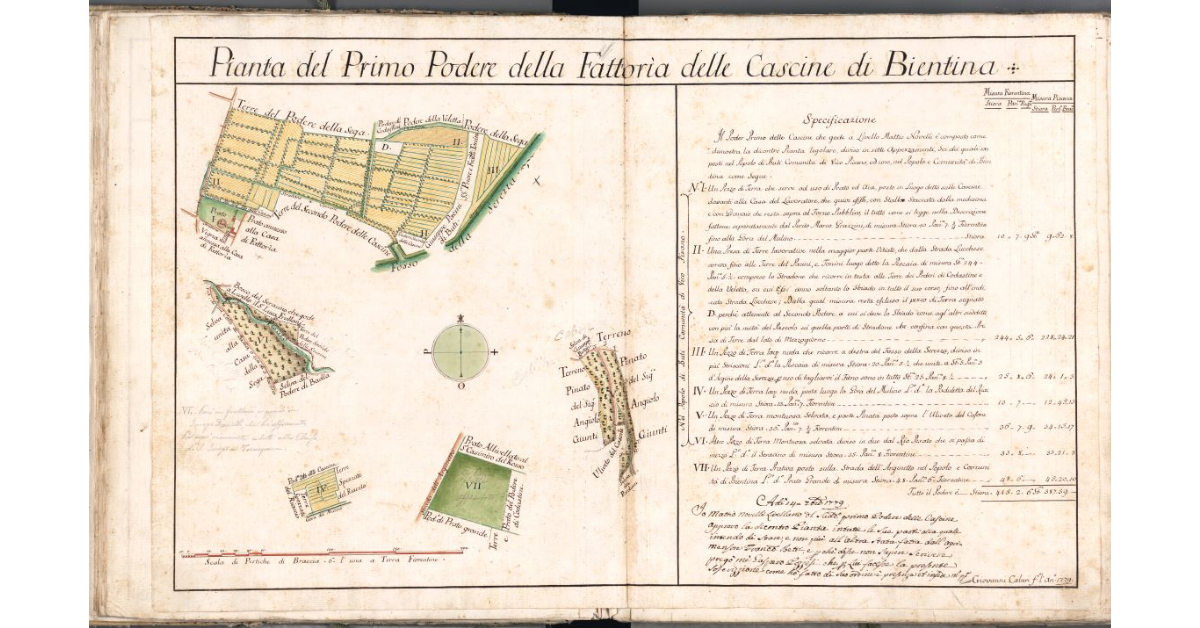 Pianta del Primo Podere della Fattoria delle Cascine di Bientina