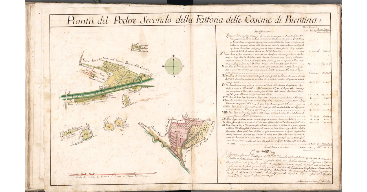 Pianta del Podere Secondo della Fattoria delle Cascine di Bientina