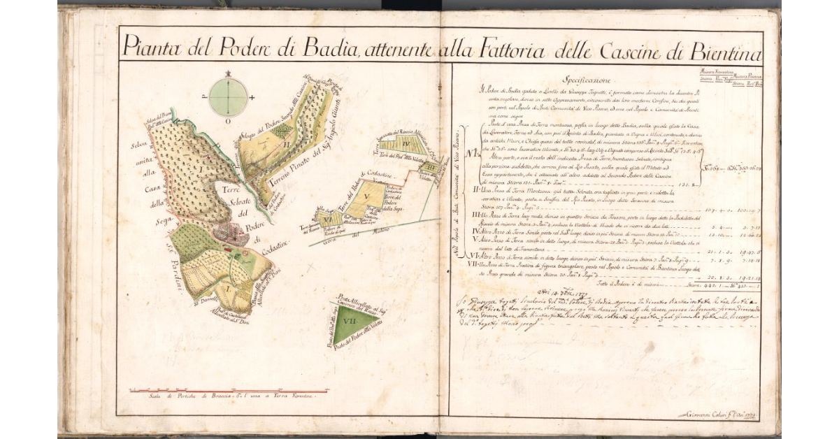 Pianta del Podere di Badia, attenete alla Fattoria delle Cascine di Bientina