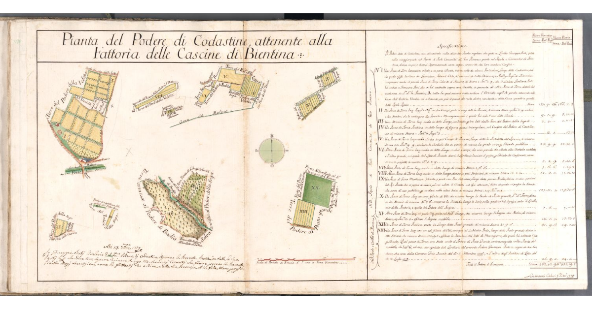 Pianta del Podere di Codastine, attenente alla Fattoria delle Cascine di Bientina