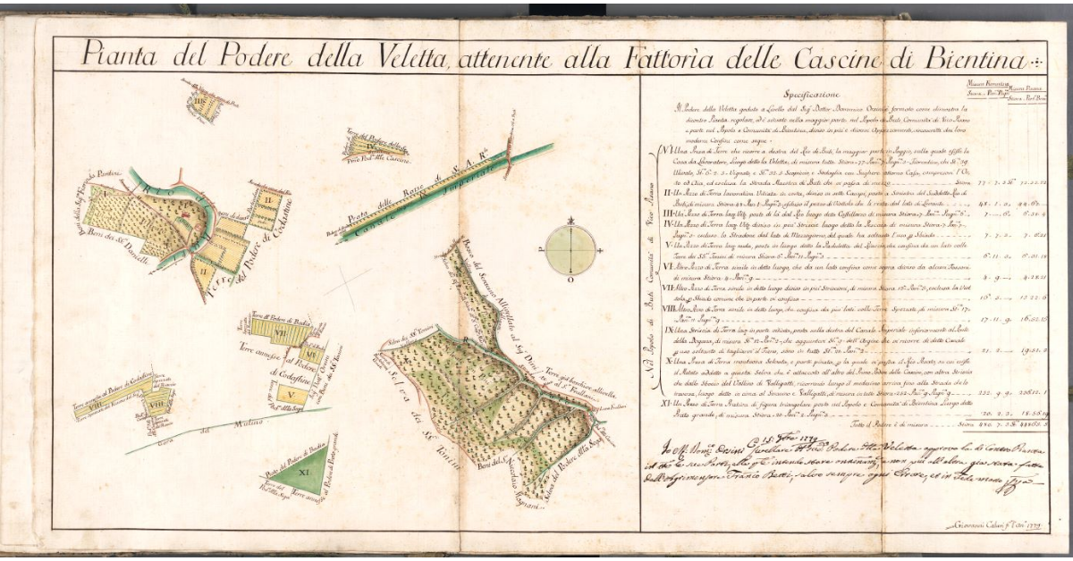 Pianta del Podere della Veletta, attenente alla Fattoria delle Cascine di Bientina