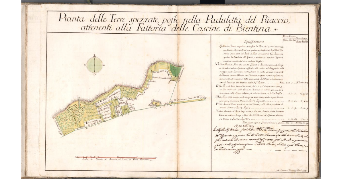 Pianta delle Terre spezzate, poste nella Paduletta del Riaccio, attenenti alla Fattoria delle Cascine di Bientina